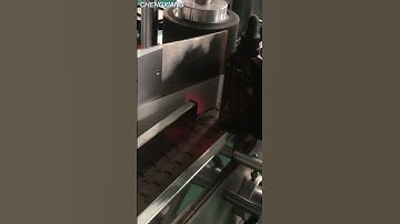 Automatic label applicator