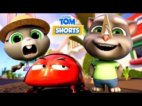 Talking Tom 😼Mega Super Compilation –Mystical Adventures & Funny Stories 🔴 LIVE 🔴 Super Toons TV アニメ