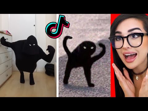 Tik Tok LOOK-A-LIKE Meme Challenge