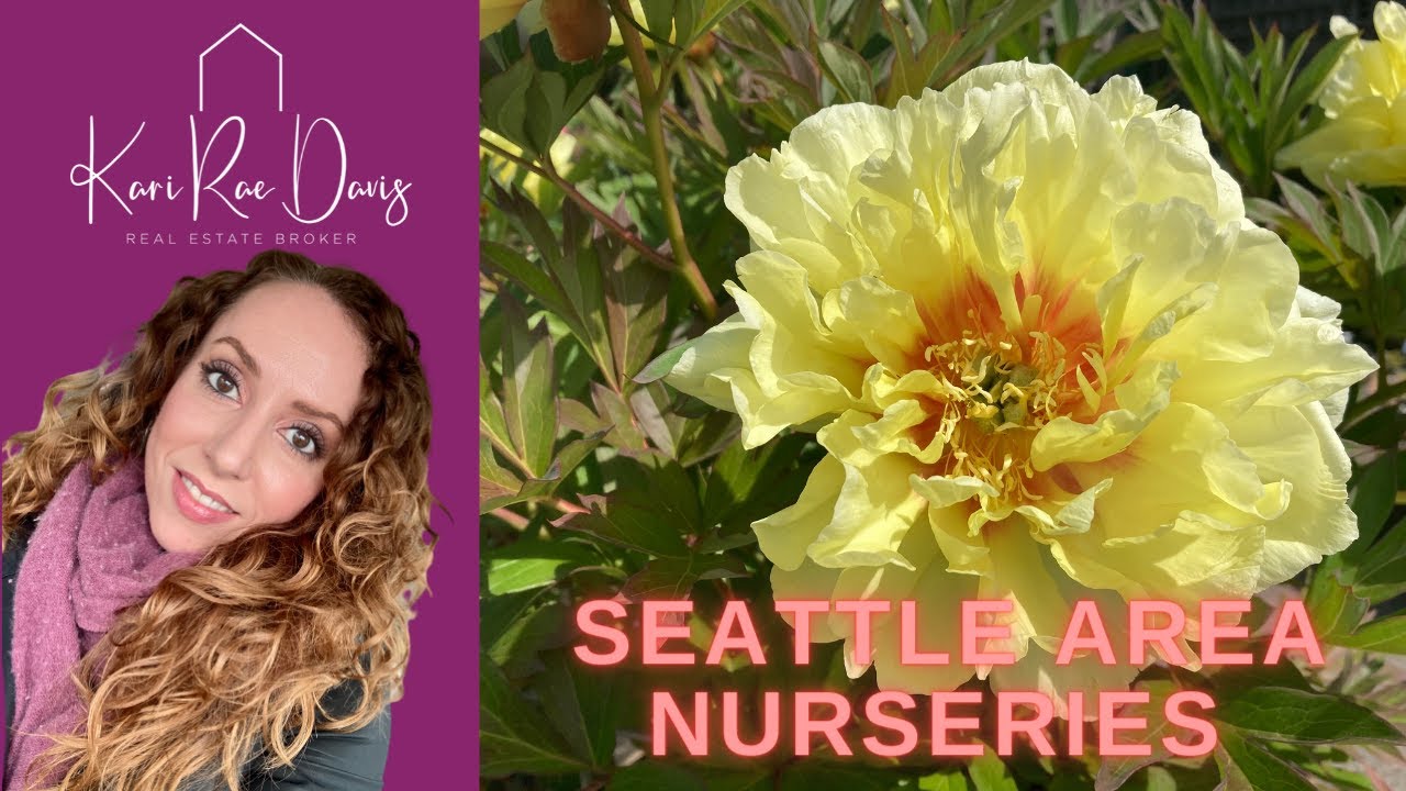 Plant Nurseries in Seattle Area YouTube