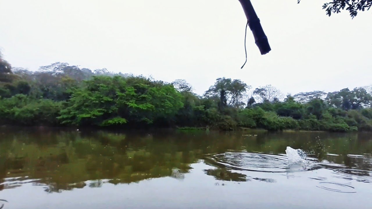 É muito bom quando na primeira fisgada você pega uma dessa. Pescaria