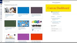 Canvas Overview Content