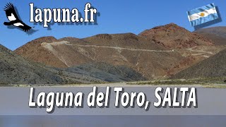 Laguna del Toro, salta, argentine