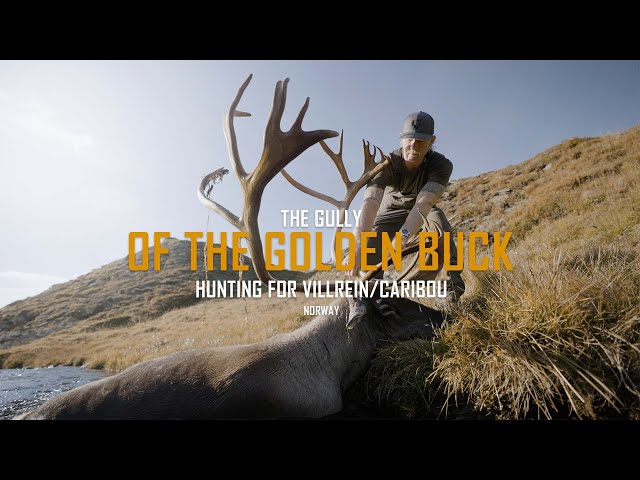 En Vildren av guld  / The Norwegian golden caribou [eng subtitle] class=