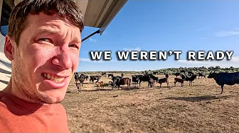 781 Miles in Idaho... Then This Happened