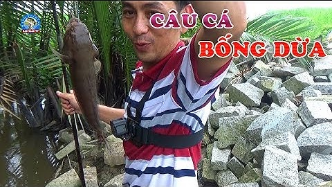 Câu Cá Bống Dừa Trên Vũng Nước Nhỏ Nào Ngờ Quá Nhiều Cá