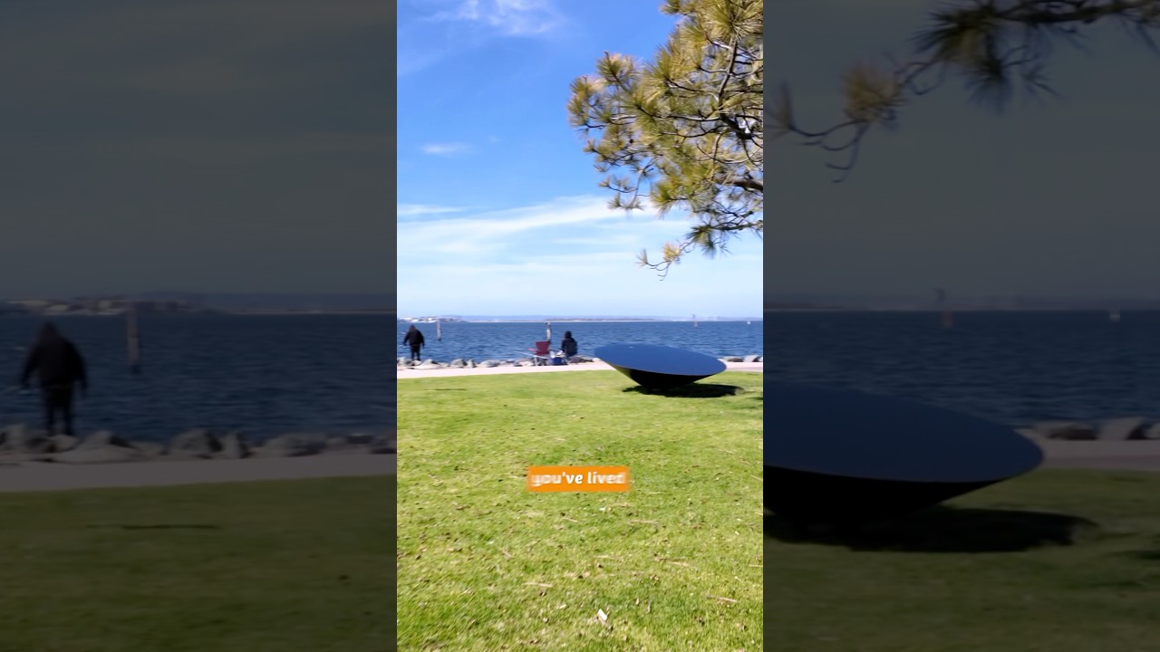 They need to put these in a museum if they ever redo this side of the Chula Vista Marina