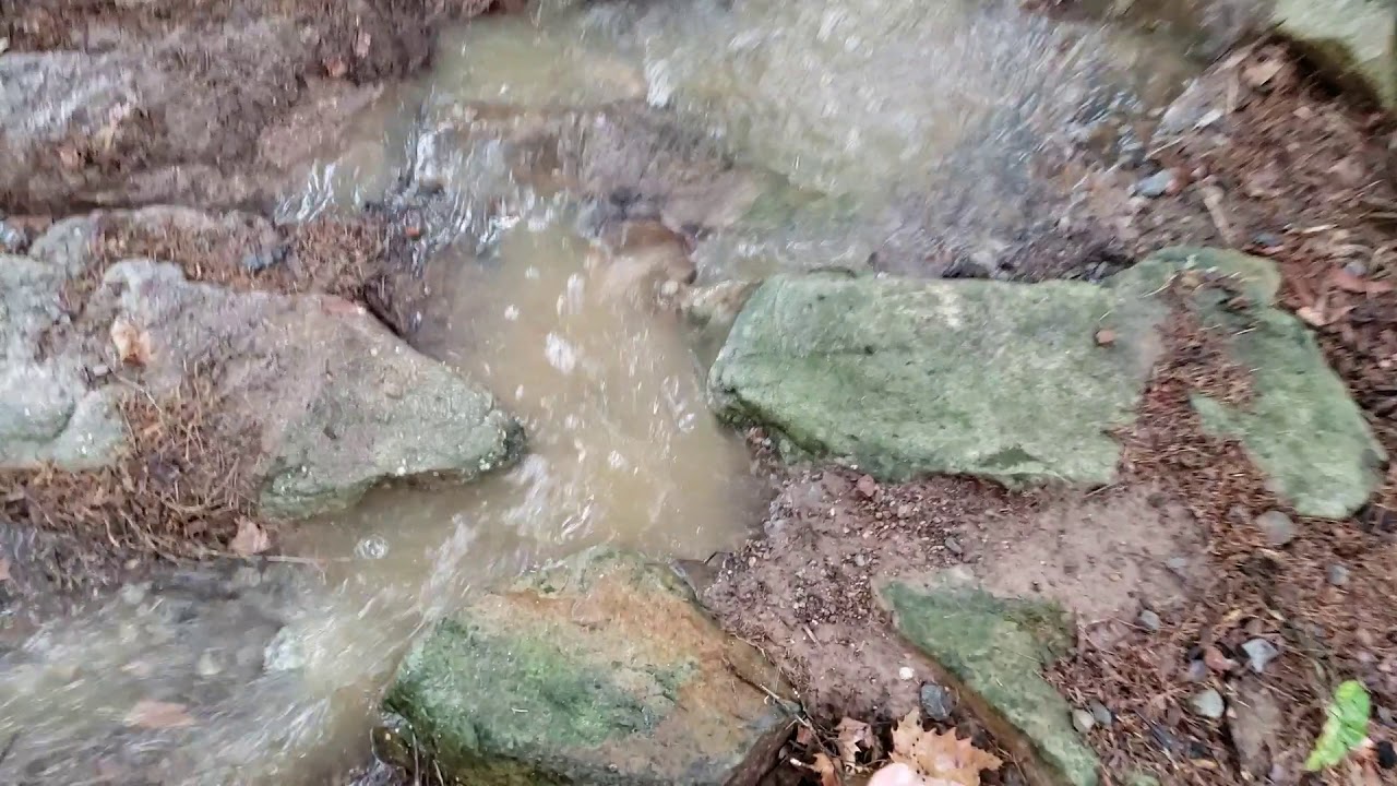 Water Diversion Dam Pond Rescue YouTube