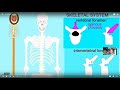 evolution of the vertebrate vertebral column & thorax