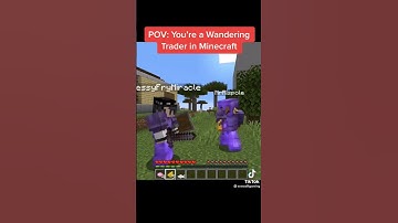 POV: Your A Wandering Trader In Minecraft
