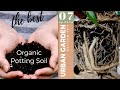 The Best Potting Soil Mix | Media Tanam Tabulampot Anti Becek