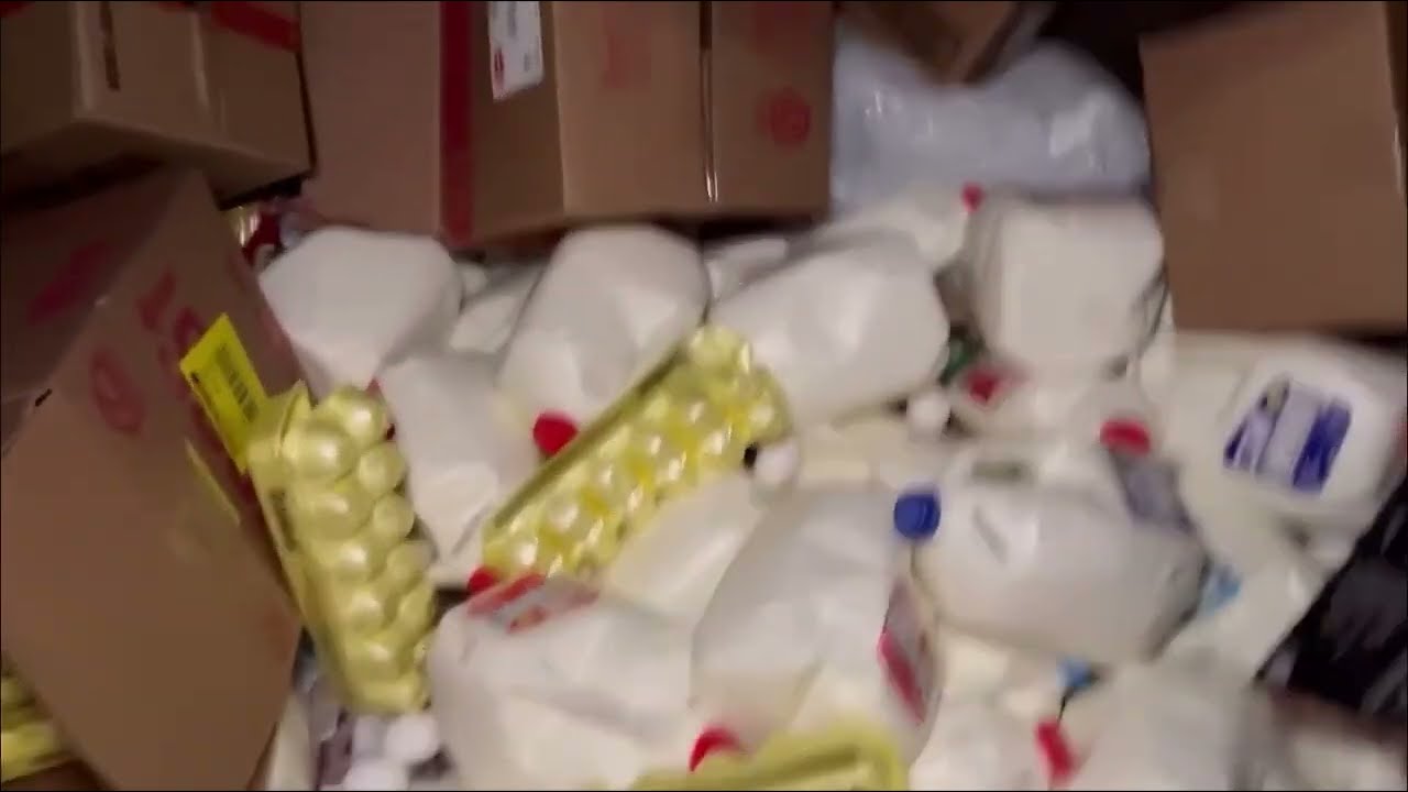 Exploring the Affordable Delight of Dollar General Almond Milk - Quality, Value, and Variety