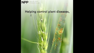 Introduction to soil health