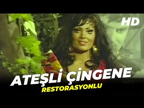 Ateşli Çingene | Türkan Şoray Eski Türk Filmi Full İzle
