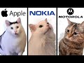 Famous phone ringtones but meme cats sing it 2