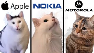 Famous Phone Ringtones but Meme Cats Sing It 2