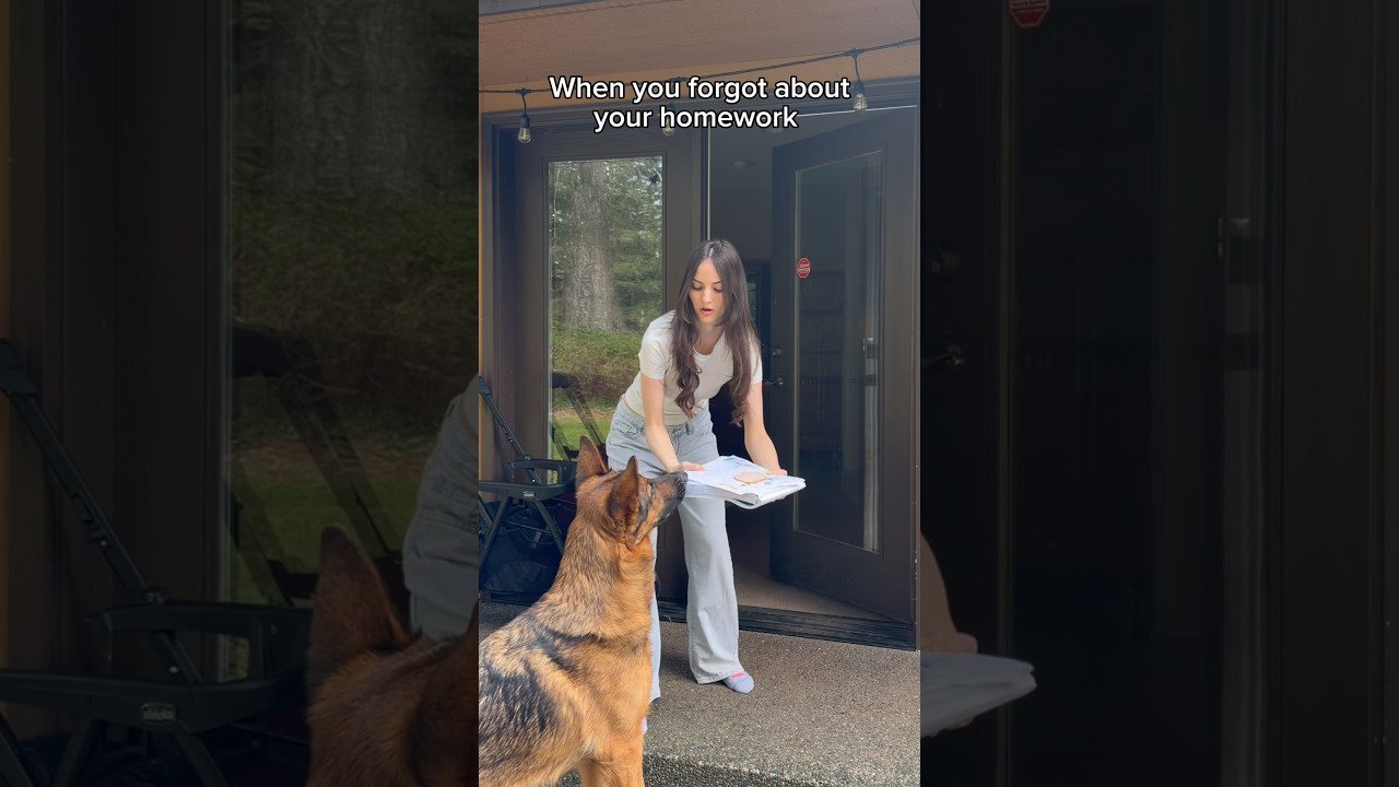 When your dog eats your homework 😔 #VictoriaPfeifer