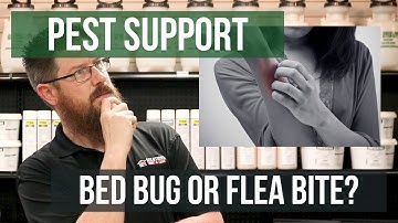 Flea VS Bed Bug Bite | Pest Support