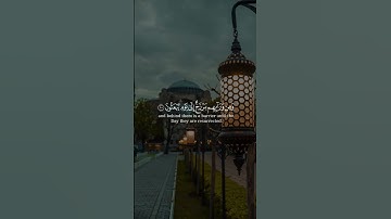 (حتى اذا جاء احدهم الموت ) بصوت الشيخ #عمر_عبدالعزيز#سورة_المؤمنون