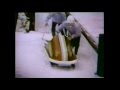 Hamms beer commercial featuring bobsledding