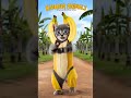 Cat dance #catdance #dogdance #petdance #animaldance #trend #meow #funnydance