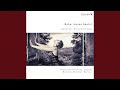 Miniature de la vidéo de la chanson 5 Lieder, Op. 41, Trv 195: No. 5. Leise Lieder