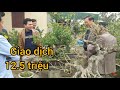 Nha tot gia re - YouTube