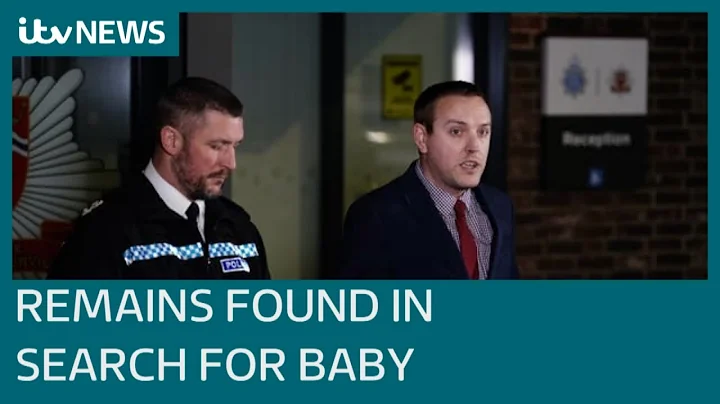 Police searching for missing aristocrat's baby fin...