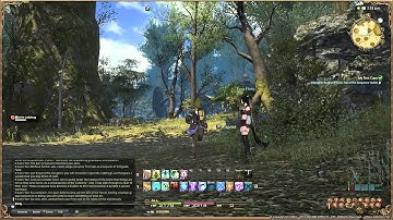 Final Fantasy XIV  A Realm Reborn - Conjurer Lv1 Quest - My First Cane