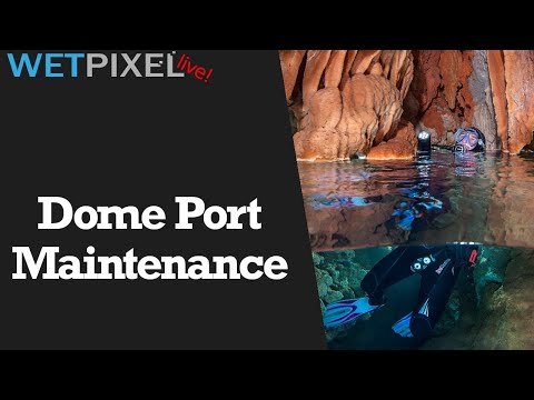 Essential Dome Port