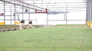 Đẩy mạnh ứng dụng khoa học công nghệ trong xây dựng nông thôn mới