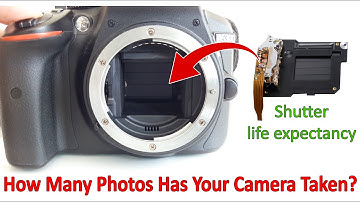 How to Check DSLR Shutter Count & Life Expectancy (Nikon, Canon, Pentax, Samsung)