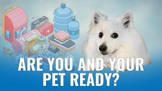Great ShakeOut 2025 - Be Prepared with Your Furry Friend!
