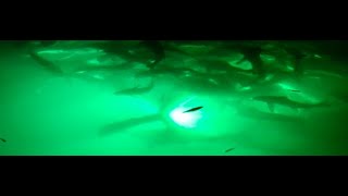 How To Install Underwater LED Dock Lights