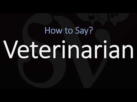 ვიდეო: როგორ სწორად გამოვყოთ სიტყვა 