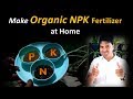 How to make organic NPK fertilizer at home