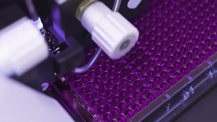 C.STATION™ | End-to-end stable cell line development workflow | Automated CLD