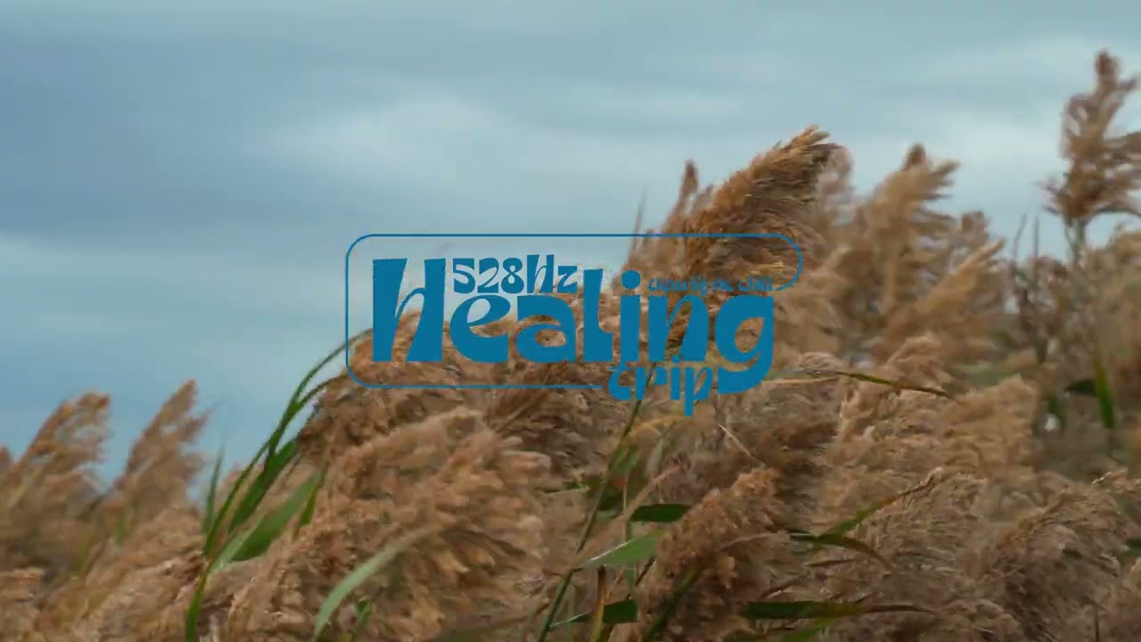 (2.5 Hours) 528Hz Healing Trip | Healing Music - Sleep Music | Relaxing reed grass field & Piano