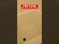 【デブあるある】風呂のお湯は少しでいい太っちょ#Shorts