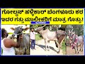 BANGALORE KARA No1 Brand ಹಳ್ಳಿಕಾರ್ ರೇಸ್ ಚಾಂಪಿಯನ್ ಬೆಂಗಳೂರು ಕರ | Sarath Channapatna Amazing Hallikar