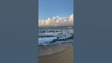 أفلا يتوبون إلى الله ويستغفرونه والله غفور رحيم 🌿 || سورة المائدة ❤️ القارئ ياسر الدوسري 🤍🌿