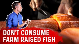 Do NOT Consume Farm Raised Fish Anymore