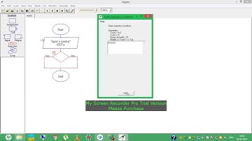 Check even or not in raptor flow chart/Algorithm