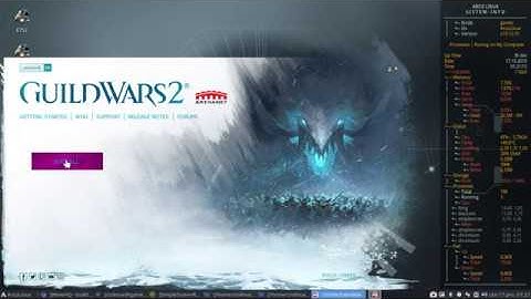 Full Play Guild Wars 2 on ArcoLinux gold Performance 👍 optimizations perfect script #6