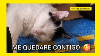 ME QUEDARE CONTIGO 🥰🥰