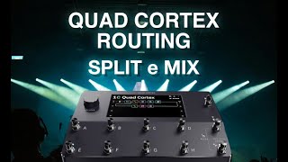 Quad Cortex Split e Mix, routing del segnale