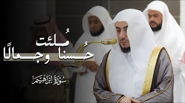 مُلئت حُسنًا وجمالًا! | تلاوة من سورة إبراهيم للشيخ د.الوليد الشمسان | مغرب 14-11-1446هـ