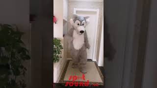 SPOTSOUND.CA Mascot Costume - A timber wolf coyote full body mascot costume