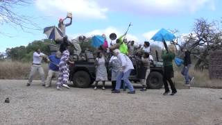 Exclusively Africa does the Harlem Shake at Phinda Zuka