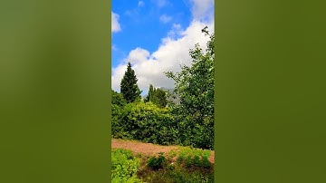 القرآن الكريم 💙🎧 تلاوة رائعة من سورة الفرقان بصوة سعود الشريم ❤️❤️